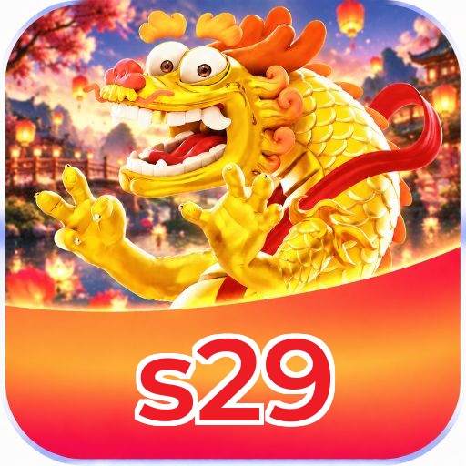s29 Logo